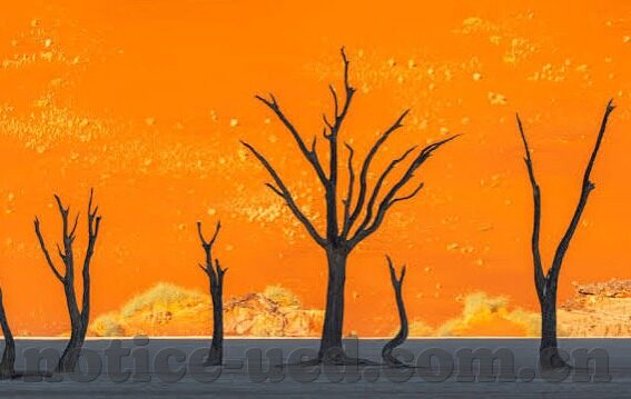 90移动足球比分-90移动足球比分，科技赋能下的实时赛事追踪新体验